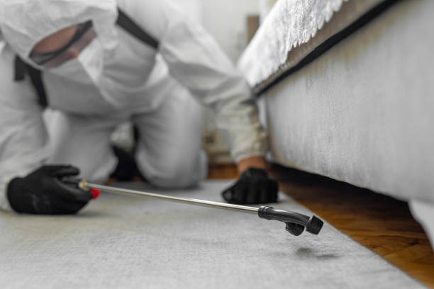 Professional Pest Control technician working in Elmwood Park, IL