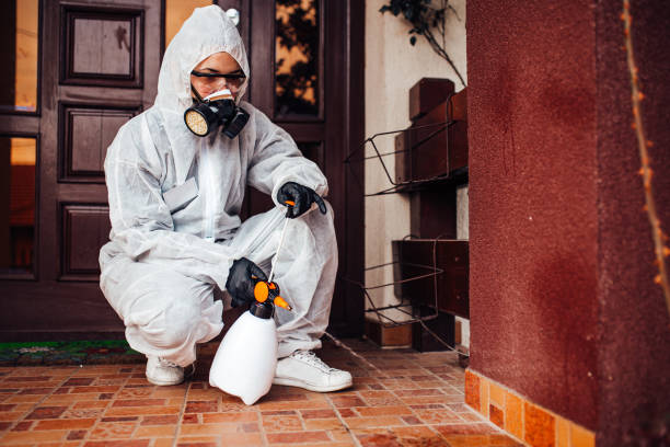 Reliable Emergency Pest Control contractor in Elmwood Park, IL by Nex Pest Control